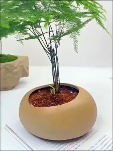 30g Artificial Moss/Moss Palsu Lumut Awetan Tender Moss Artificial Ekorasi Lumut Kering Lumut Tiruan Dekorasi Tanaman Palsu