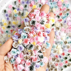 Bộ Trang Trí Móng Tay Bằng Nhựa Resin Hình Hoa Hồng Phát Sáng Nhiều Màu Sắc 3D 50/100 Chiếc Tự Làm Màu Sắc Chuyển Sắc Hoa Sáng Bóng Dành Cho Thiết Kế Móng Tay Ngọt Ngào