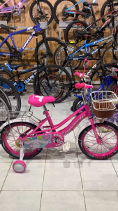 【Sanrio Bike】Kids bicycle Bicycle for kids Bike for Kids For 2-9 year Kids Bicycles