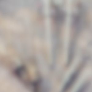 Electric Egg Mixer Parts Set Egg Beater Suit for Electric Balloon Whisk Kitchen Accessories Blender Mixer Parts