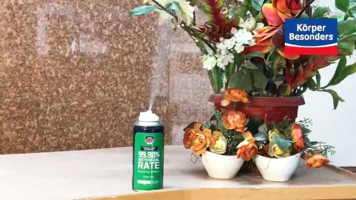 Korper Besonders Anti Bacterial Deodorant Disinfectant Spray Air