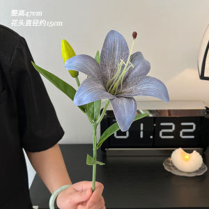 Hoa Lô Hội Pha Trộn RoomTour Hương Thơm Hoa Pha Trộn Trang Trí Hoa Tươi Giả Trang Trí Hoa Tươi Trang Trí Hoa Tươi