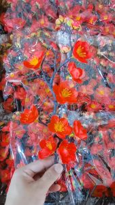 Đào Cổ Trang Trí Tết Set Oản Chuẩn Trung