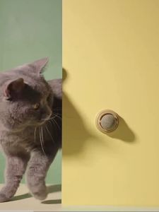 ชุดลูกแคทนิปธรรมชาติสำหรับสัตว์เลี้ยงน่ารัภาพการย่อยอาหารขนมหญ้าแมวกบอลมีขนเพื่อสุขภาพเสริมการย่อยอาหารขนมหญ้า