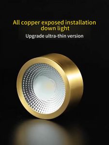 Nordic Gold Downlight 10W Surface Mounted Ceiling Lamp LED Bedroom Background Living Room Light