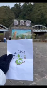 现货正宗TAIWAN Alishan WINTER PIECE Oolong Tea 台湾茶叶 SF-02-阿里山冬片-150G