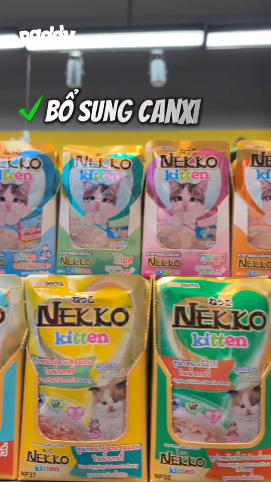 Pate Cho Mèo Mọi Lứa Tuổi Nekko Gravy Dạng Sốt 70g