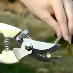 1pc. Stainless Steel Garden Pruning Scissor Fruit Branch Shears Gardening Cutter Trimmer