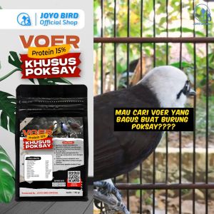 BELI 1 GRATIS 1 MAKANAN BURUNG POKSAY | VOER BURUNG POKSAY | VOER HARIAN | VOER NUTRISI KOMPLIT | VOER KHUSUS POKSAY 15% 300 GR