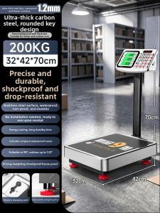 Precision Electronic Scale