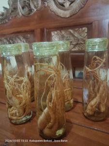 Gingseng merah Korea plus botol 500 mil kristal
