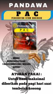 PANDAWA PAC 12 kapsul: Jamu Ayam Untuk Obat Cacing Ampuh