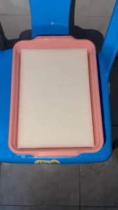 ถาดเพาะ ใส่ฟองน้ำได้พอดี ถาดยกโหล 12 ชิ้น ถาดเพาะต้นกล้า (*แบบคละสี*)