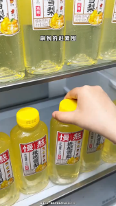 元气森林-慢熬植物饮料-枇杷雪梨/乌梅山楂 500ML GENKI FOREST-Slow-Brewed Herbal Drink–Loquat & Snow Pear/Black Plum & Hawthorn 500ML