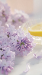 DREAMLAB Perfume Inspired by Eclat 85ml Oil-based Long-lasting