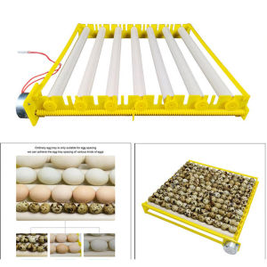 360° Automatic Egg Incubator Tray for Chicken Duck Quail Bird Poultry AC220V