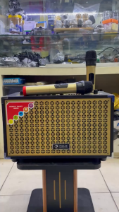 Loa di động POL.Z P02 công suất RMS 40W.