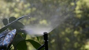 Béc tưới phun mưa 180 độ béc tưới xòe góc gắn ống LDPE lưu lượng nước 90-100 lít/giờ - 10 cái