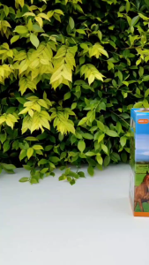 D Kids ม้าของเล่น ของเล่นเด็ก โมเดลสัตว์ ใส่ถ่านเดินได้ มีเสียง มีไฟ