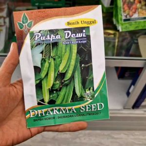 Benih Kecipir Puspa Dewi 50gr Cocok untuk Pertanian Tradisional & Modern