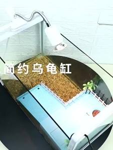 Phao Nổi Đa Năng Hình Rùa Đảo Nổi Nhà Trú Ẩn Trang Trí Cảnh Quan Phụ Kiện Bể Cá Cảnh Bằng Nhựa Cho Bò Sát