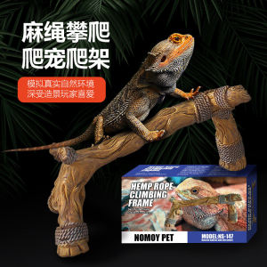 Enhance Your Pet's Habitat: Crab, Lizard, and Snake Accessories