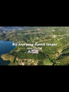 Freshly Date 12/10!100% Arabica Single Origin YUNNNAN coffee beans  Medium roast coffee Beans Cocoa Caramel almond hali Coffee  lanli 227g/454g kopi 咖啡豆