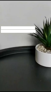 Travel Toothbrush Case / Tempat Box Kotak Sikat Gigi Portable / Tabung Sikat Gigi Transparant Plastik Bersih Higienis Polos Warna Random