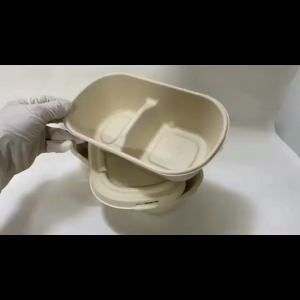 (50Pcs) Biodegradable Oval Container / Sugarcane 850ml Oval Container / Bio Lunch Box / Salad Box