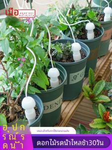 How to Optimize Indoor Balcony Plant Care with Automatic Garden Watering Devices