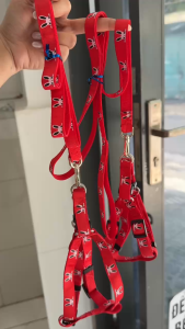 [ phụ kiện ] Dây dắt yếm hình thỏ