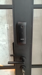 EAZEA AXIS-G Smart Gate Lock with Fingerprint Keyless Access HDB Local Warranty