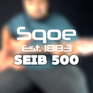 SQOE SEIB500 HH Roasted Maple Neck Electric Guitar with Tremolo ( Humbucker / SEIB 500 / SEIB-500 )