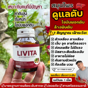 บำรุงตับสูตรเข้มข้น ลิไวต้า ไขมันพอกตับ ค่าตับสูง ตับอักเสบ ดื่มหนัก ท้องอืด ท้องบวม ตาเหลือง ตัวเหลือง เจ็บชายโครงขวา