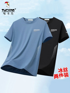 Ice Silk Loose Fit Short Sleeve T-Shirt for Men Casual Summer Sportswear Polyester Fiber Quick Dry round Neck Regular Length