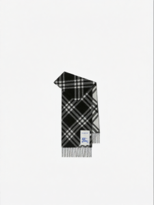 Burberry | Check Pattern Cashmere Scarf