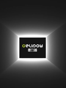Delipow Lithium AAA AA Battery Rechargeable batteries High Capacity Premium LED USB Charger