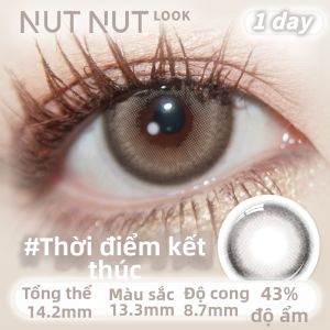 NUTNUT LOOK | Mắt Kính Giao Tiếp Dùng Một Lần Màu Độc Quyền