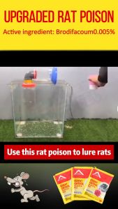 【Rats die outdoors 】 rat poison killer racun tikus paling kuat ubat tikus paling kuat mati rat bait rat repellent rat killer mouse killer 老鼠药 Efficacy 99.96%