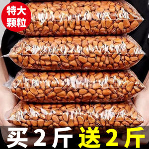 2024 New Stock Large Particle Open Shell Pine Nuts Non Specialty Grade Extra Large Northeast Pine Kernel Snacks Roasted Goods