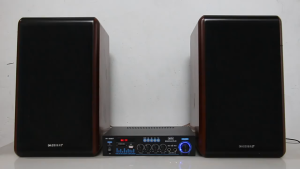 Professional 2 Channel D Class HIFI Power Amplifier Bluetooth 5.0 with Luminous Knob for 12V Car and 220V Home Stereo Speakers