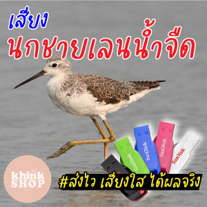 เสียงต่อนกชายเลนน้ําจืด เมมเสียงนกชายเลนน้ําจืด แฟลชไดร์ฟเสียงต่อนกชายเลนน้ําจืด เสียงนกชายเลนน้ําจืด มีเก็บเงินปลายทาง