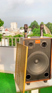 Loa Karaoke Di Động T3 Pro Bass 30 Công Suất 500W – Âm Thanh Mạnh Mẽ Kèm Micro Không Dây Hát Hay Mọi Lúc Kết Nối Bluetooth/USB/AUX Dễ Dàng Mang Theo Phù Hợp Tiệc Tùng & Dã Ngoại