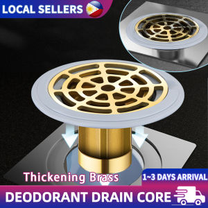 Brass Floor Drain Core Universal Anti-Odor Trap Filter Fast Water Plug Sulit Iwas Ipis Sewer Seal Thickened