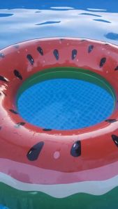 TIDEBUY Removable Sunshade Baby Swimming Floater Boat Inflatable Ring Pool Floaters for Kids and Baby