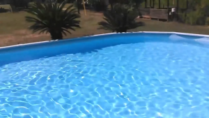 Pool Algaecide for Swimming Pool Powder Copper Sulfate Pentahydratae Anti HCT 1kg Factory supply safe packaging