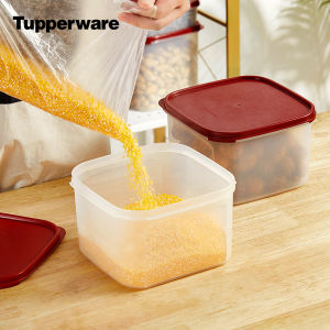 Tupperware | Dry Goods Storage Freshness Box 2.6L