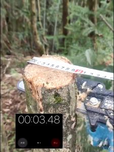 เลื่อยไฟไร้สาย เลื่อยไฟฟ้า เลื่อยโซ่ไฟฟ้า 6นิ้ว 3500W กำลังตัดสูงเลื่อยตัดไม้ เลื่อยยนต์ เลื่อยไฟฟ้าแบต เครื่องตัด เลื่อยโซ่ Makita 48V เลื่อยไฟฟ้าไร้สาย ถังน้ำมันในตัว การเติมน้ามันอัตโนมัติ ปรับโซ่โดยมือ(ไม่ต้องใช้เครื่องมือ)【อัพเกรดใหม่ for Makita】