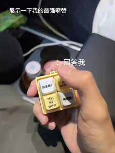 Oldlaiben Novelty Look in My Eyes Voice Keychain with 4 Voices Decompression Luminous Creative Gift