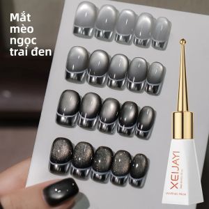 Bộ 4 Sơn Móng Tay Gel Mắt Mèo Từ Tính 10ml Dành Cho Nữ Quà Tặng Mùa Hè Gốc Acrylic Bền Lâu